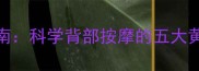 孕期腰背痛自救指南科学背部按摩的五大黄金法则与避坑指南
