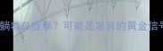 新手爸妈必读宝宝躺着总握拳可能是发育的黄金信号附科学护理攻略