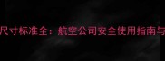 飞机婴儿摇篮尺寸标准全航空公司安全使用指南与出行必备清单