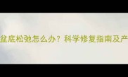 顺产两次后盆底松弛怎么办科学修复指南及产后训练方法