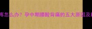 怀孕七个月腰疼怎么办孕中期腰酸背痛的五大原因及科学缓解方法