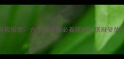 孕中期焦虑自救指南六个月孕妈必看缓解心慌难受的5个科学方法