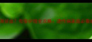 小孩确诊地中海贫血母婴护理全攻略遗传病家庭必看的5大应对策略