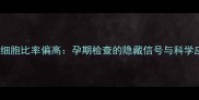 孕妇单核细胞比率偏高孕期检查的隐藏信号与科学应对指南