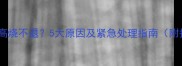 孩子烫伤后高烧不退5大原因及紧急处理指南附护理细节