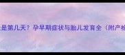 怀孕50天是第几天孕早期症状与胎儿发育全附产检指南
