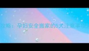 孕期租房搬家全攻略孕妇安全搬家的5大注意事项与法律权益指南