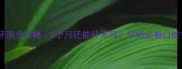 孕晚期补牙洞全攻略8个月还能补牙吗孕妈必看口腔护理指南