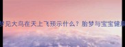 孕妇梦见大鸟在天上飞预示什么胎梦与宝宝健康指南