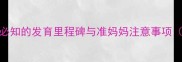五个月胎儿发育全必知的发育里程碑与准妈妈注意事项附高清胎儿模型图