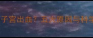 产后六个月子宫出血五大原因与科学应对指南