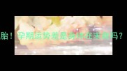 备孕3年终于怀上双胞胎孕期运势差是身体在求救吗过来人血泪经验分享