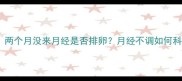 备孕必看两个月没来月经是否排卵月经不调如何科学备孕
