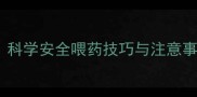 十个月宝宝喂药全攻略科学安全喂药技巧与注意事项附详细操作指南