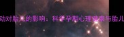 孕妇情绪波动对胎儿的影响科学孕期心理健康与胎儿发育的关系