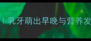 3个月宝宝长牙信号全乳牙萌出早晚与营养发育的关联附护理清单