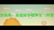 0-3岁宝宝辅食添加指南鱼肠科学喂养全附营养食谱与禁忌