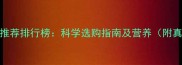 孕妇高钙奶粉推荐排行榜科学选购指南及营养附真实用户反馈