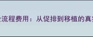 试管婴儿全流程费用从促排到移植的真实开支清单