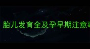 怀孕8周是孕几周了胎儿发育全及孕早期注意事项附产检指南