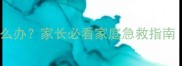 宝宝干呕呕吐不止怎么办家长必看家庭急救指南附科学护理全攻略