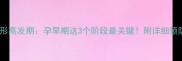 胎儿畸形高发期孕早期这3个阶段最关键附详细预防指南