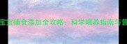 0-6个月宝宝辅食添加全攻略科学喂养指南与营养配比