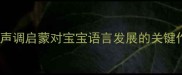 拼音声调启蒙对宝宝语言发展的关键作用