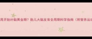 怀孕第几周开始补脑黄金期胎儿大脑发育全周期科学指南附营养运动方案