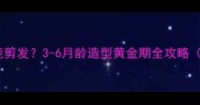 泰迪幼犬多久能剪发3-6月龄造型黄金期全攻略附护理指南