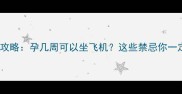 孕期乘机全攻略孕几周可以坐飞机这些禁忌你一定要知道