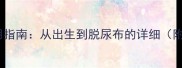 S号纸尿裤适用月龄与使用指南从出生到脱尿布的详细附选购技巧与红屁屁预防