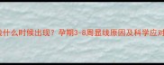 妊娠线什么时候出现孕期3-8周显线原因及科学应对指南