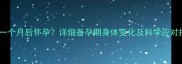 停经一个月后怀孕详细备孕期身体变化及科学应对指南