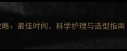 0-3岁宝宝理发全攻略最佳时间科学护理与造型指南附成长阶段表