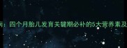 孕中期营养指南四个月胎儿发育关键期必补的5大营养素及科学搭配方案