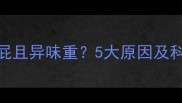 婴儿频繁放屁且异味重5大原因及科学调理指南
