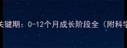 新生儿发育关键期0-12个月成长阶段全附科学育儿指南