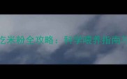 6个月宝宝第一次吃米粉全攻略科学喂养指南与喂养量精准计算