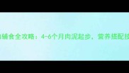 宝宝添加辅食全攻略4-6个月肉泥起步营养搭配技巧大公开