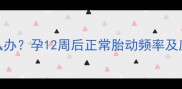 孕妈必看胎动频繁怎么办孕12周后正常胎动频率及应对指南附医生建议