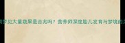 孕期梦见大量蔬果是吉兆吗营养师深度胎儿发育与梦境的关联