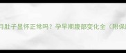怀孕两个月肚子显怀正常吗孕早期腹部变化全附保胎指南