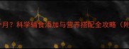 一段奶粉喂养到几个月科学辅食添加与营养搭配全攻略附宝宝月龄对照表