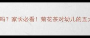 三岁宝宝能喝菊花茶吗家长必看菊花茶对幼儿的五大好处与饮用禁忌全
