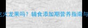 六个月宝宝能吃火龙果吗辅食添加期营养指南与科学喂养建议