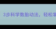 职场准妈妈必读3步科学数胎动法轻松掌握胎儿健康监测