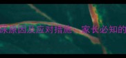 3-12岁儿童夜尿原因及应对措施家长必知的科学护理指南
