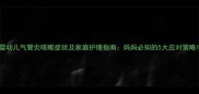 婴幼儿气管炎咳嗽症状及家庭护理指南妈妈必知的5大应对策略