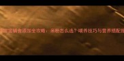 4个月宝宝辅食添加全攻略米粉怎么选喂养技巧与营养搭配指南